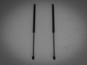 Ford Bronco Hood Strut Kit - Carbon Steel - Black